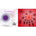 FRACTAL ART DESIGN GREETING CARD Kaleidoscope in Pink